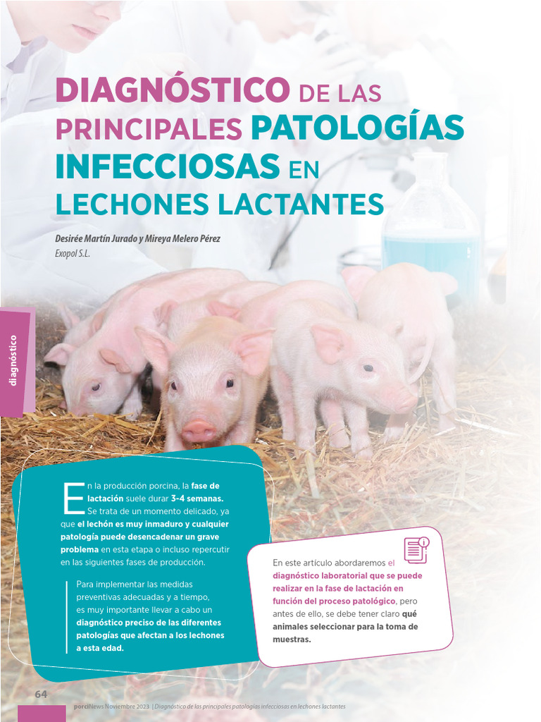 Diagnóstico de patologías en lechones | PDF | Escherichia coli | Diarrea