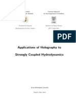 Irene Rodrıguez Amado - Applications of Holography To Strongly Coupled Hydrodynamics