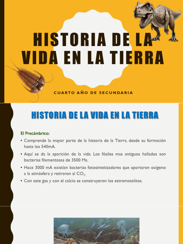 Historia de La Vida en La Tierra | PDF