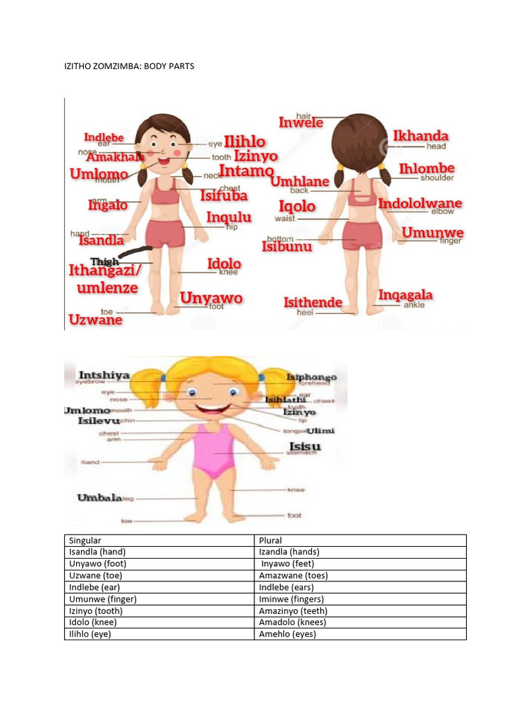 Izitho Zomzimba: Body Parts Guide | PDF