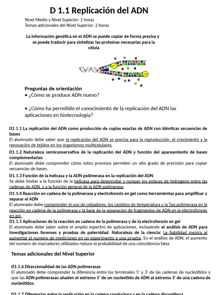 D 1.1 Replicación Del ADN | PDF | Replicación De Adn | Adn