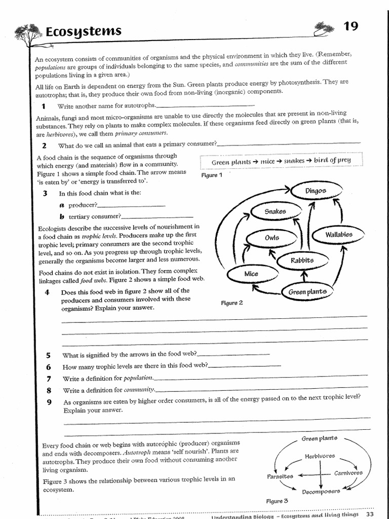 WS19 Ecosystems | PDF