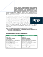 Diferencias Conductuales Entre Rumiantes (Nutricion Animal)