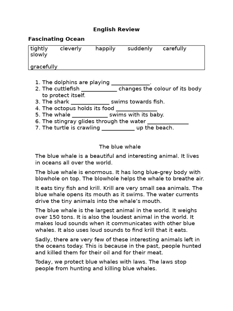 english-review-pdf-whales-cetaceans