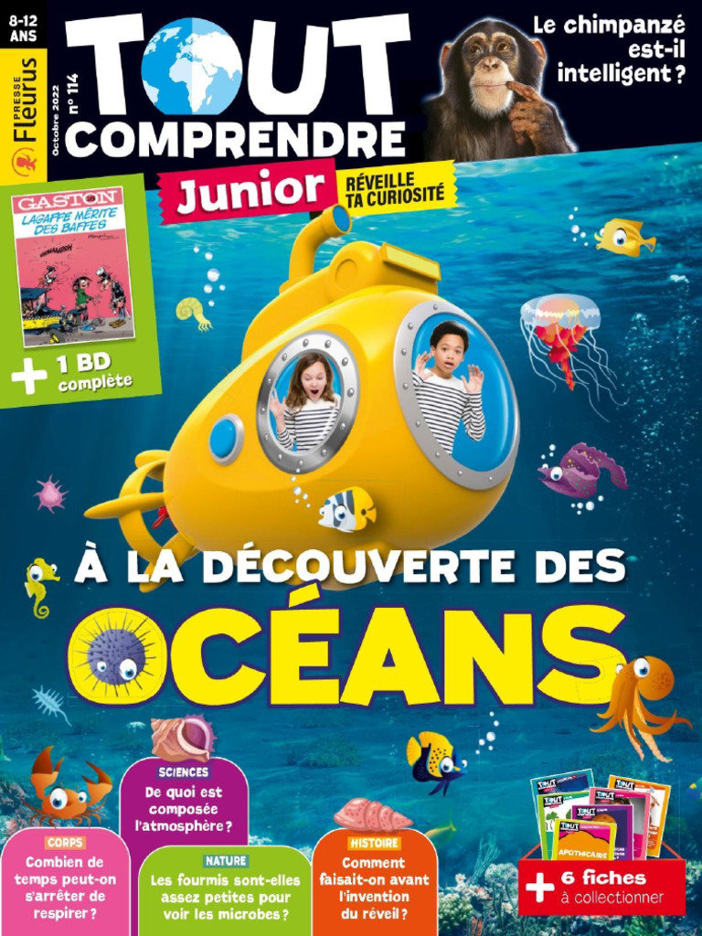 Tout Comprendre Junior 114 Octobre 2022 PDF — free download
