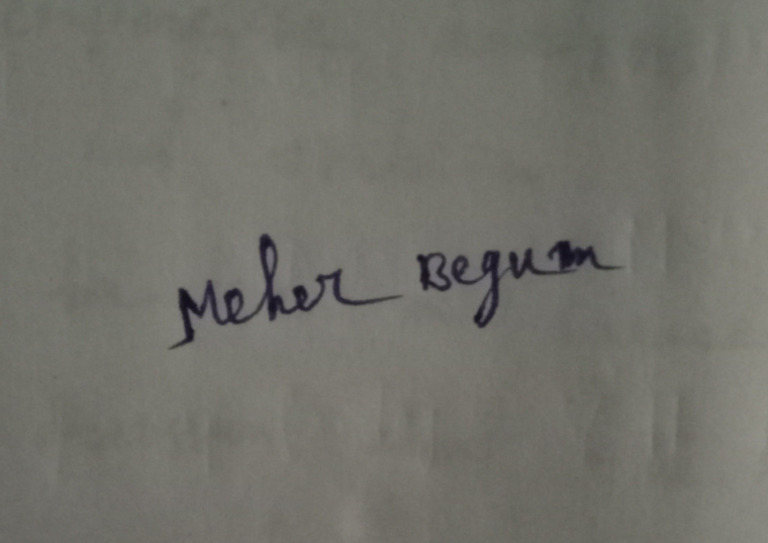 Signature 3 | PDF