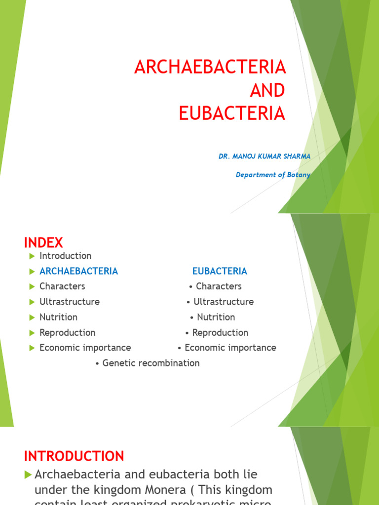 Introduction of Bacteria | PDF | Archaea | Bacteria