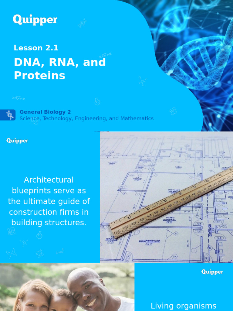 Bio2 11 - 12 Q3 0201 PF FD | PDF | Dna | Nucleotides