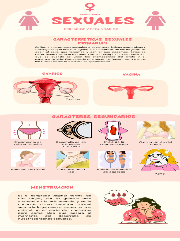 Características Sexuales Primarias y Secundarias | PDF