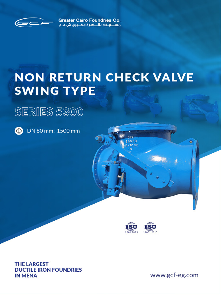 Swing Check Valve Overview | PDF | Valve | Pipe (Fluid Conveyance)