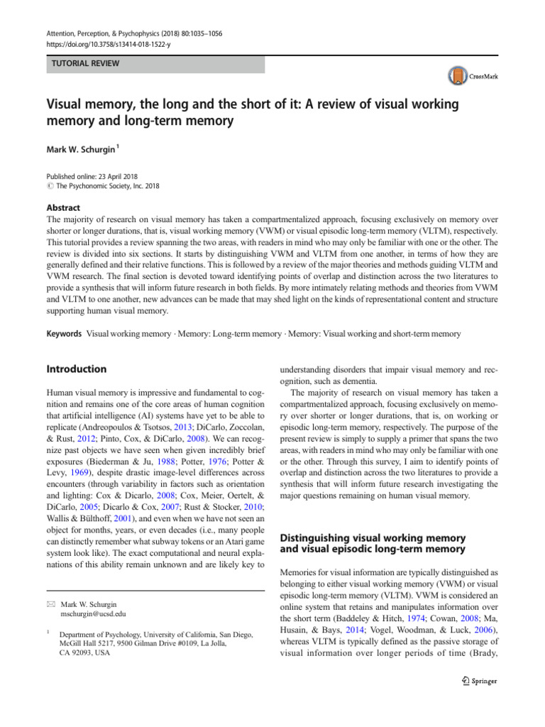Visual Working vs. Long-Term Memory | PDF | Recall (Memory) | Memory