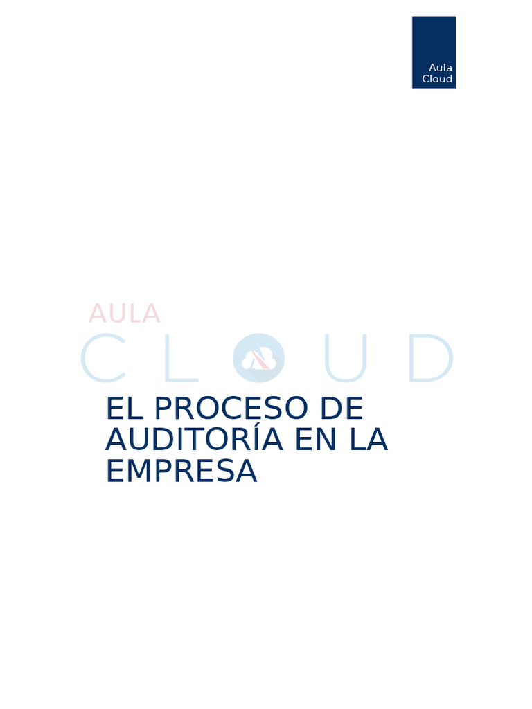 El Proceso de La Auditoria de La Empresa | PDF | Contralor | Auditoría