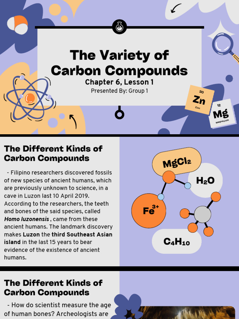Group 1 The Variety of Carbon Compounds - 20241201 - 174449 - 0000 ...