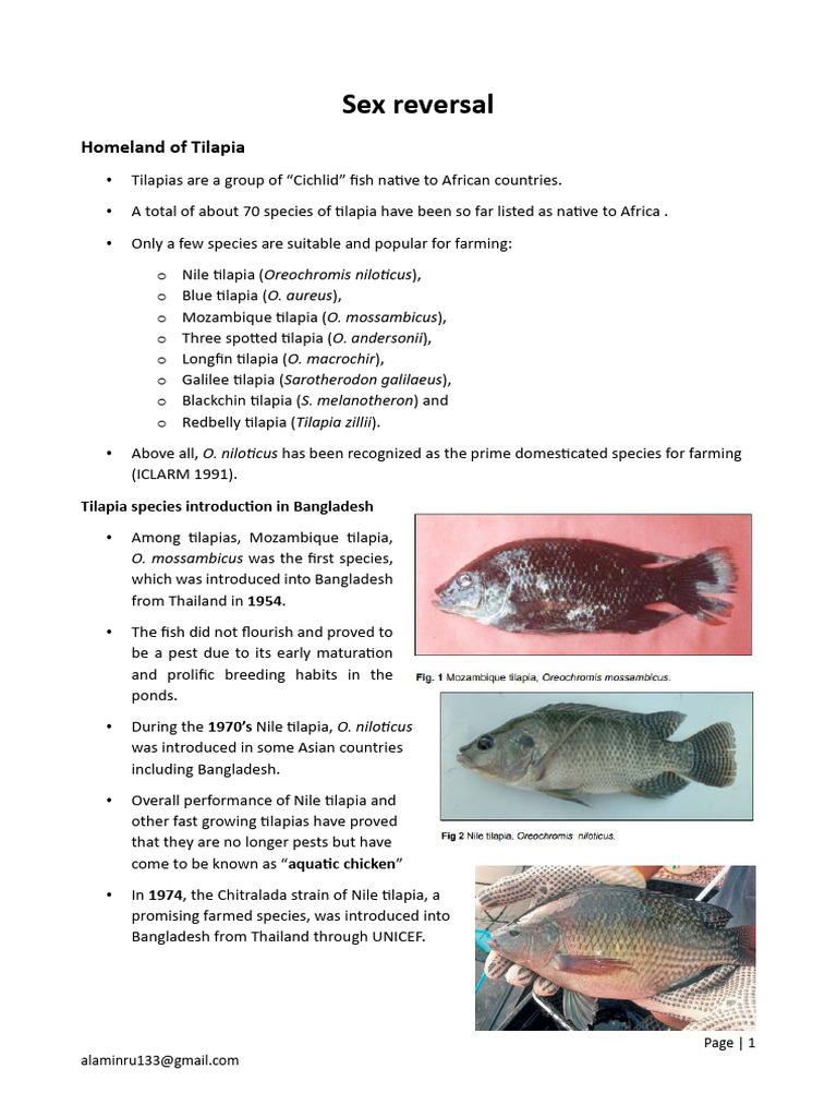 Tilapia Farming and Sex Reversal Techniques | PDF | Androgen | Spawn ...