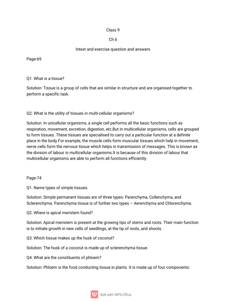 CL 9 CH 6 Intext and Ex Q A PDF