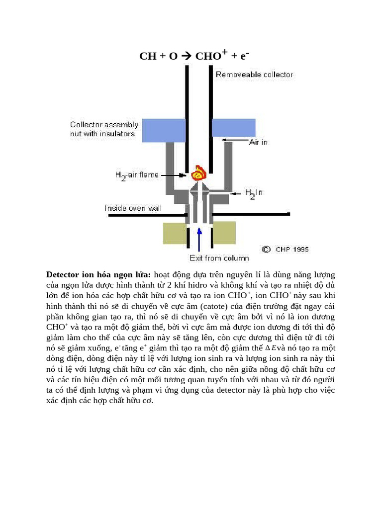 Detector | PDF