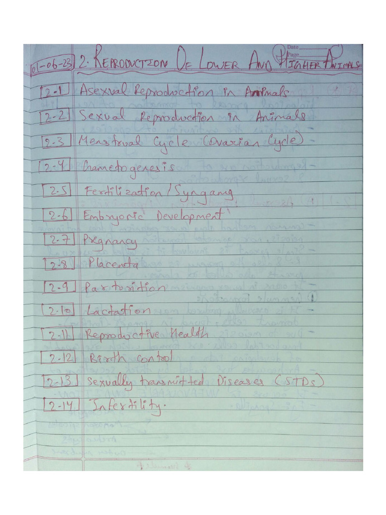 Human Reproduction Self Notes | PDF