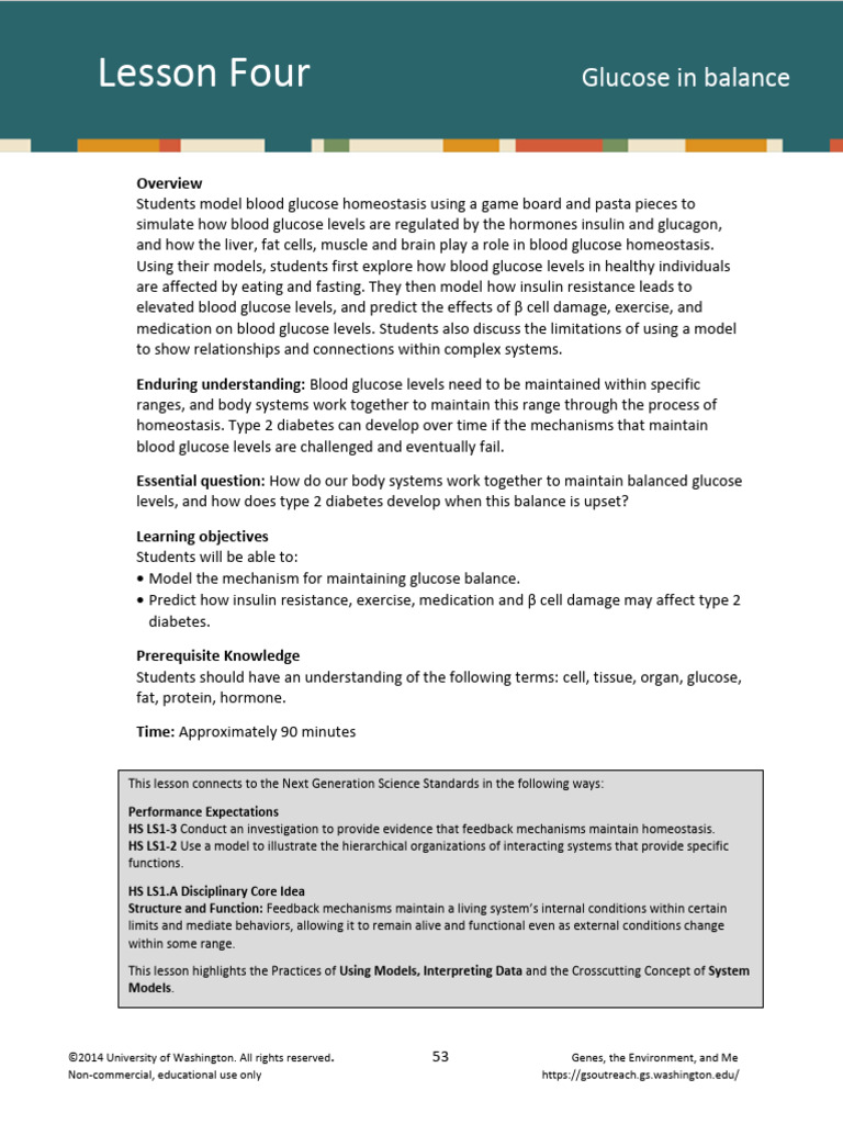 Blood Glucose Homeostasis Lesson Plan | PDF | Glucose | Insulin