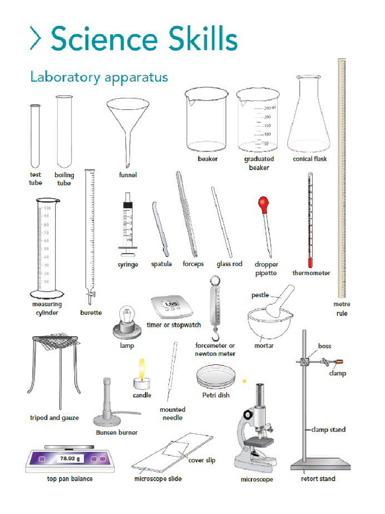 Science Skills | PDF