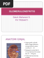 Download Glomerulonefritis Ppt by Galuh Maharani Sukma SN80356828 doc pdf