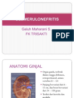 Glomerulonefritis