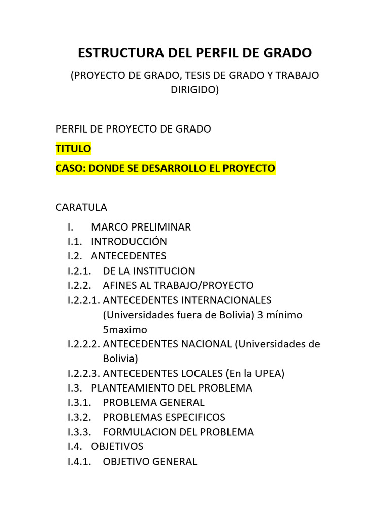 Estructura Del Perfil de Grado | PDF | Ingeniería Informática ...