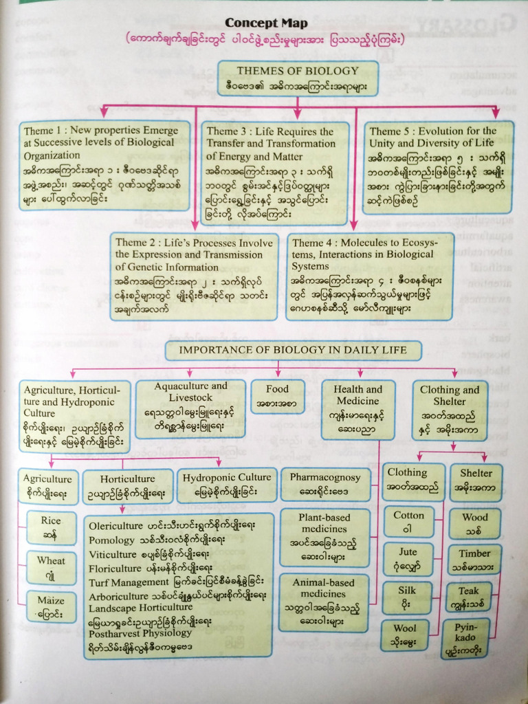 Bio SU - Ch1 Concept Map by Shine | PDF