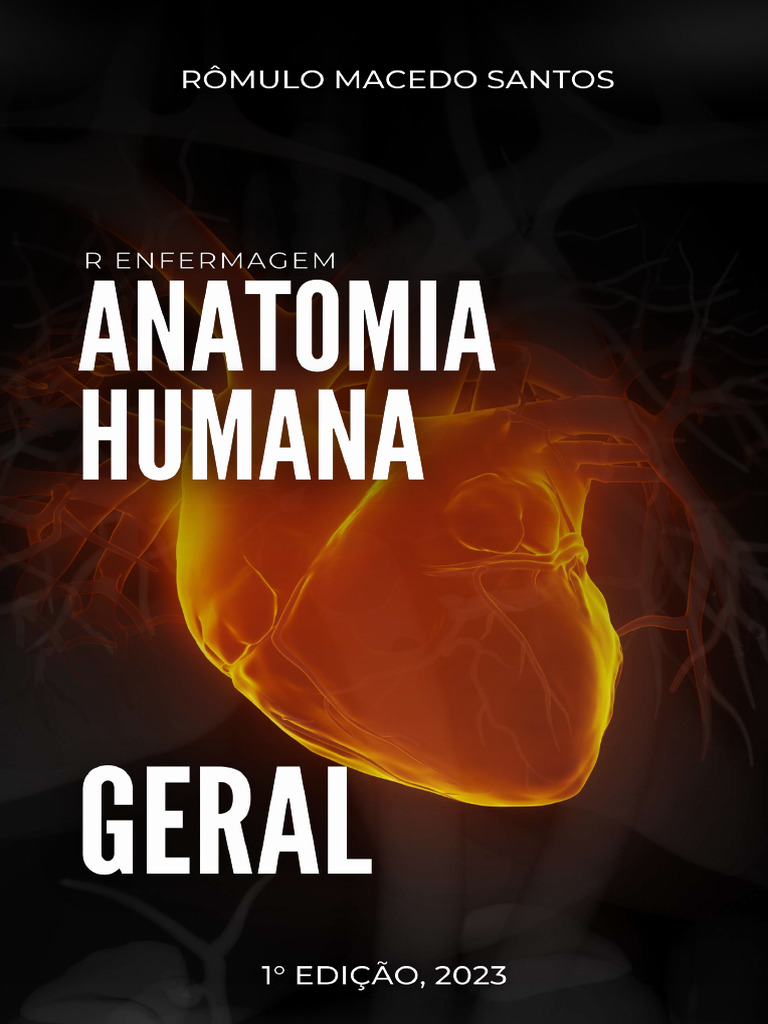 Anatomia Geral Pdf Coração Sistema Circulatório