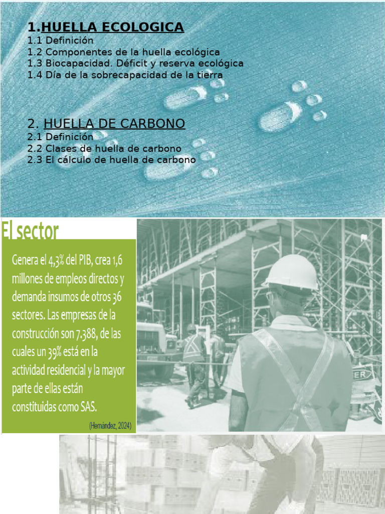 Huella Ecológica y de Carbono | PDF | Huella de carbono | Ecología
