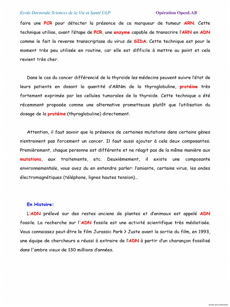 PCR | PDF