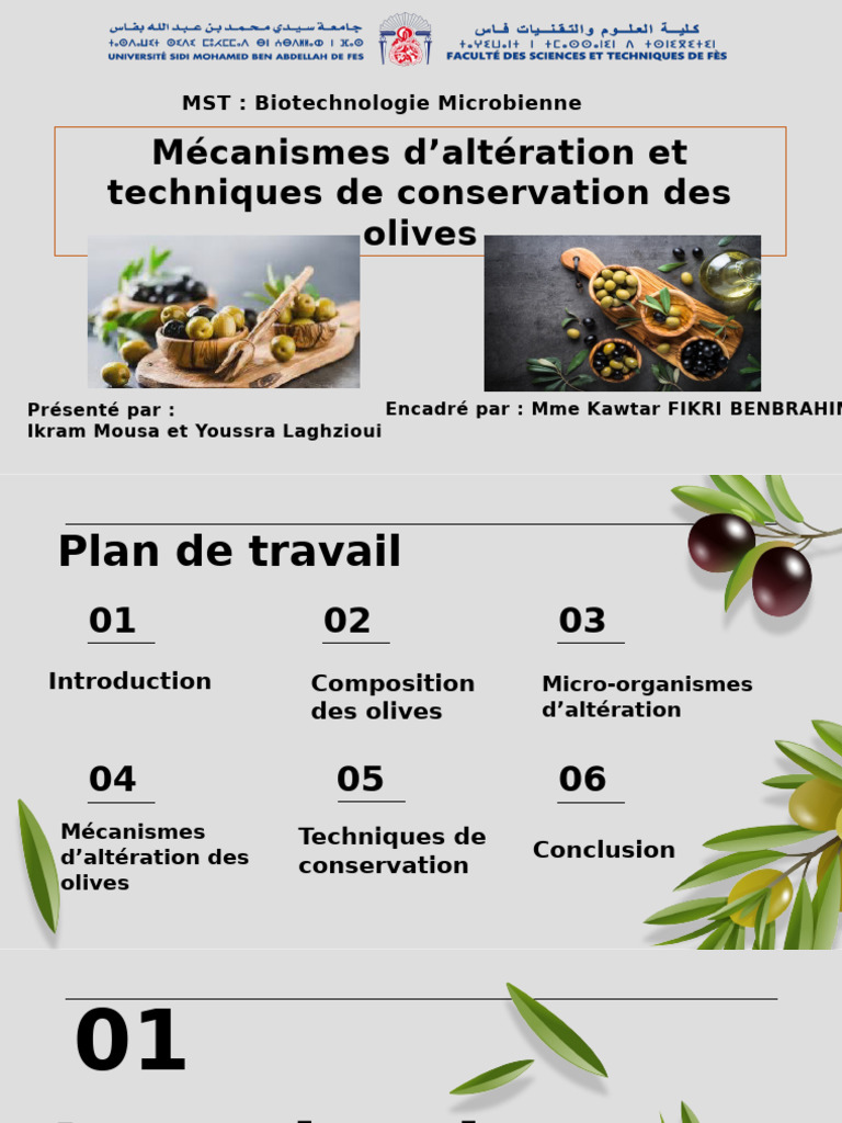 Inconvénients et fermentation des olives | PDF | olive | Sel