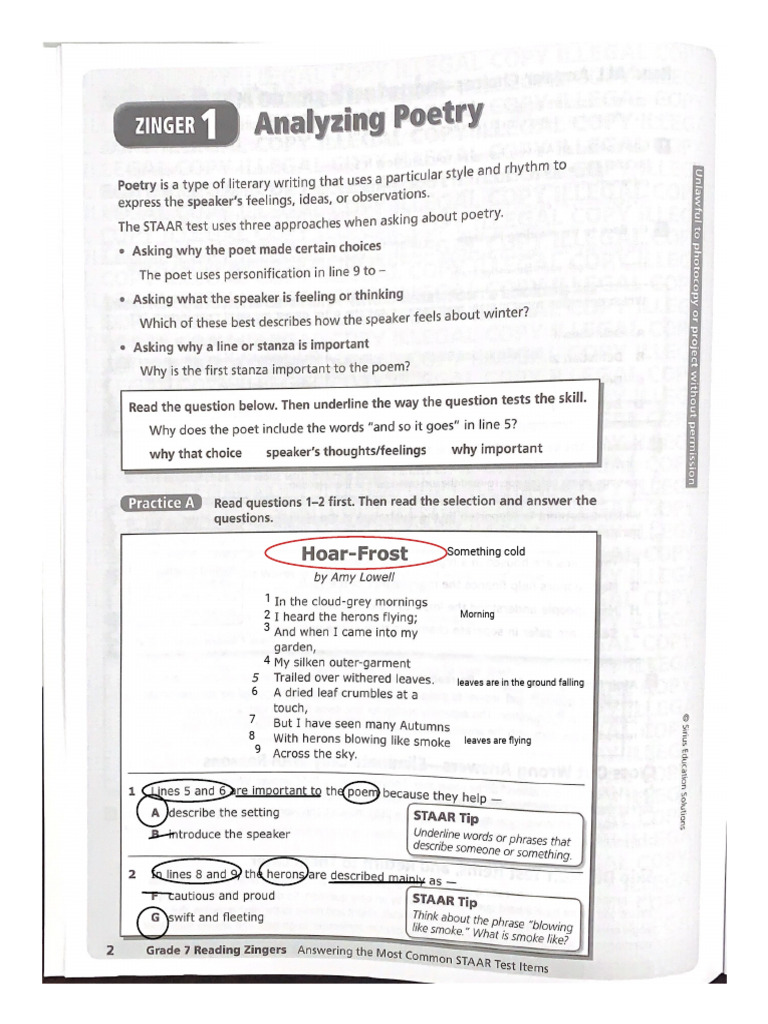Kami Export - ELTON CERVANTES RODRIGUEZ - Zinger Workbook Activities ...
