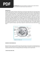 Download Teori Sel Dan Tokoh Xi Ipa by Tusty Nadia Maghfira SN80367626 doc pdf