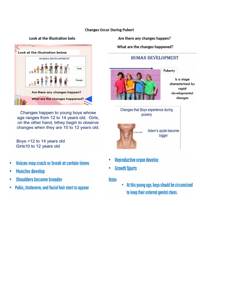 Changes Occur During Pubert | PDF | Menstrual Cycle | Ovary