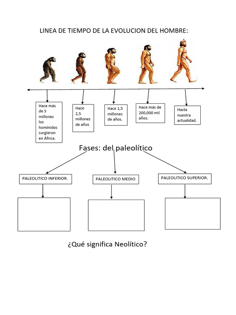 LINEA DE TIEMPO DE LA EVOLUCION DEL HOMBRE Maximiliano. | PDF