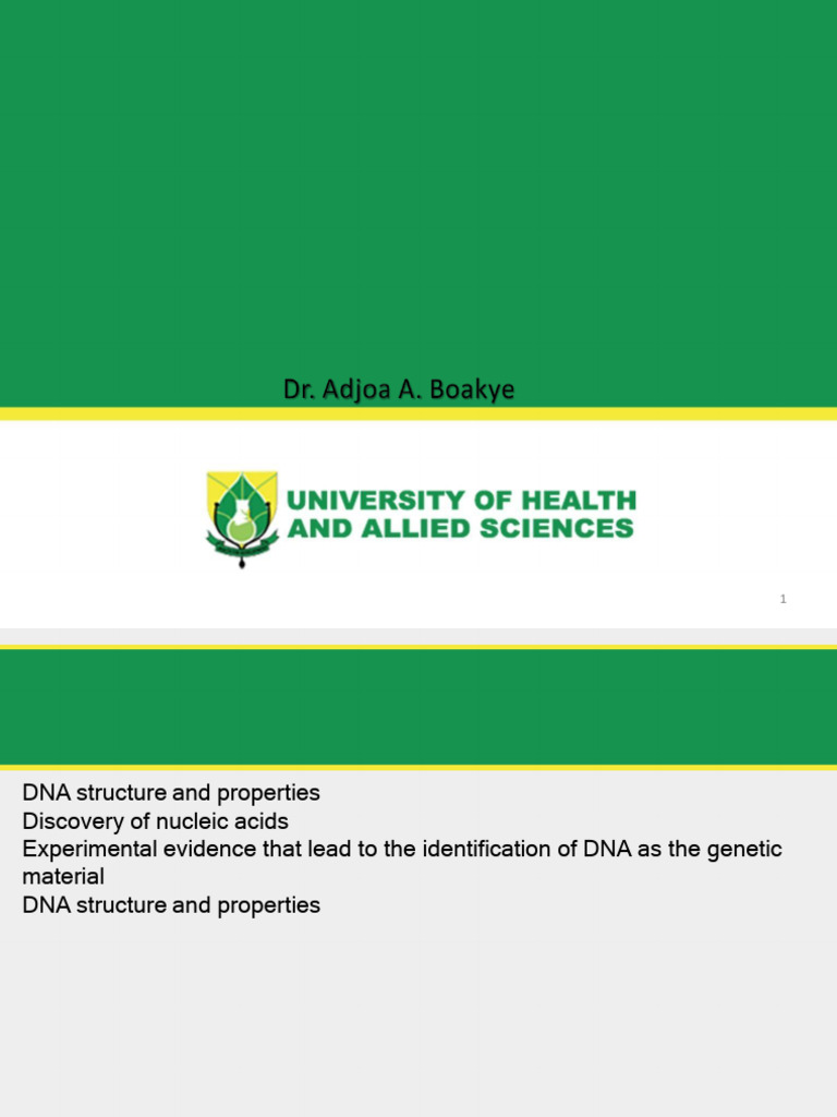Introduction to BMB DNA structure | PDF | Dna | Nucleotides