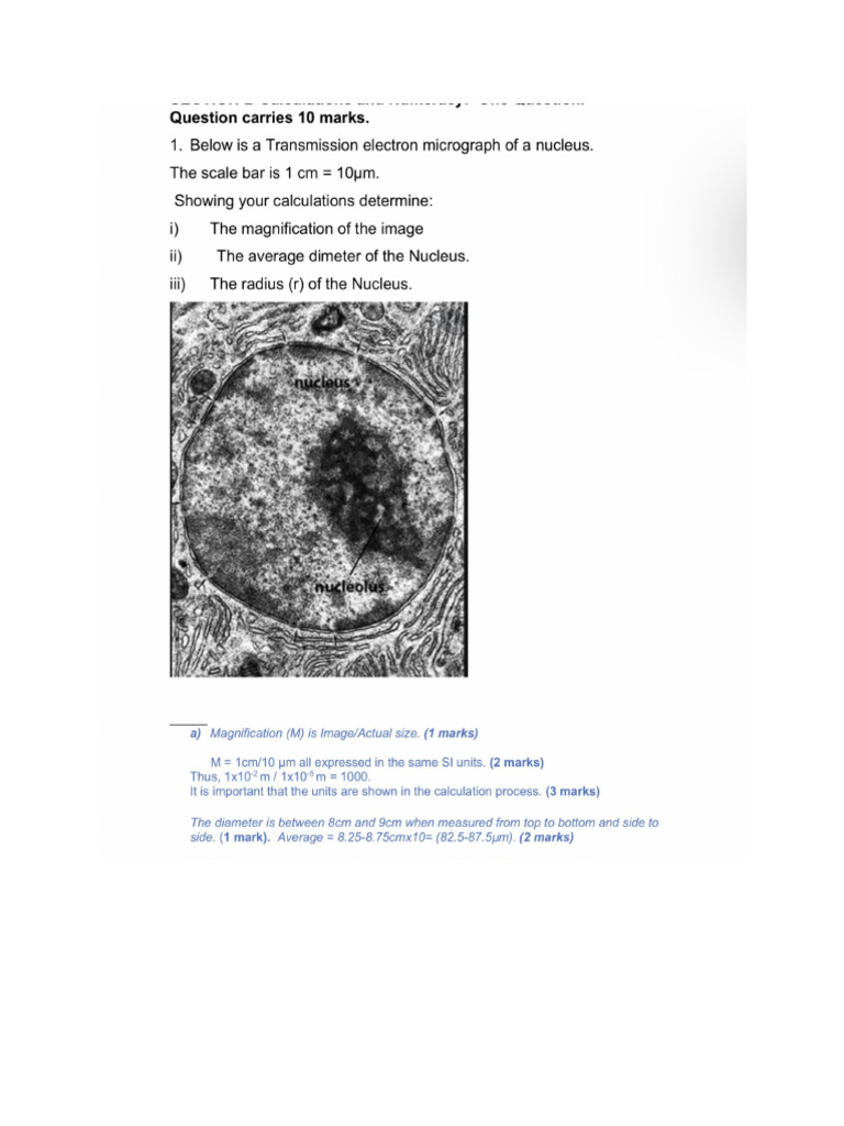 Data interpretation pdf
