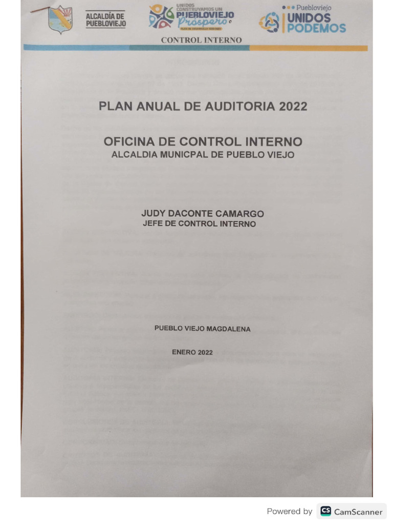 Plan Anual de Auditoria 2022 | PDF