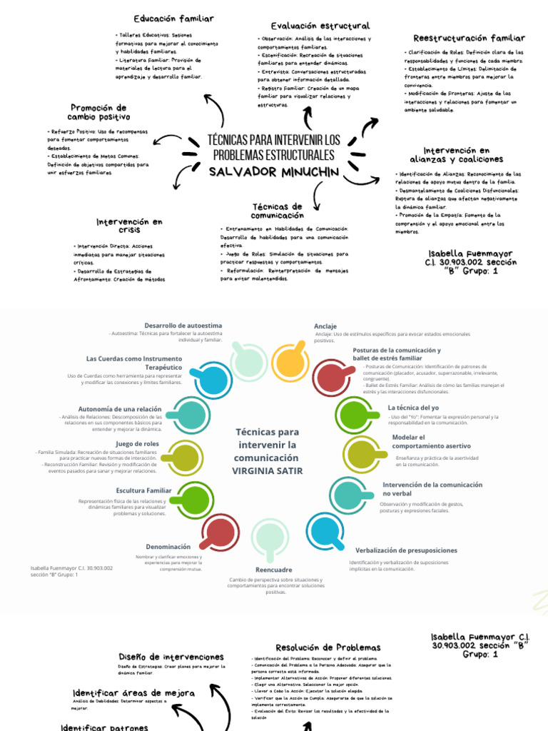 Tecnicas para Intervenir Los Problemas Estructurales Salvador Minuchin ...