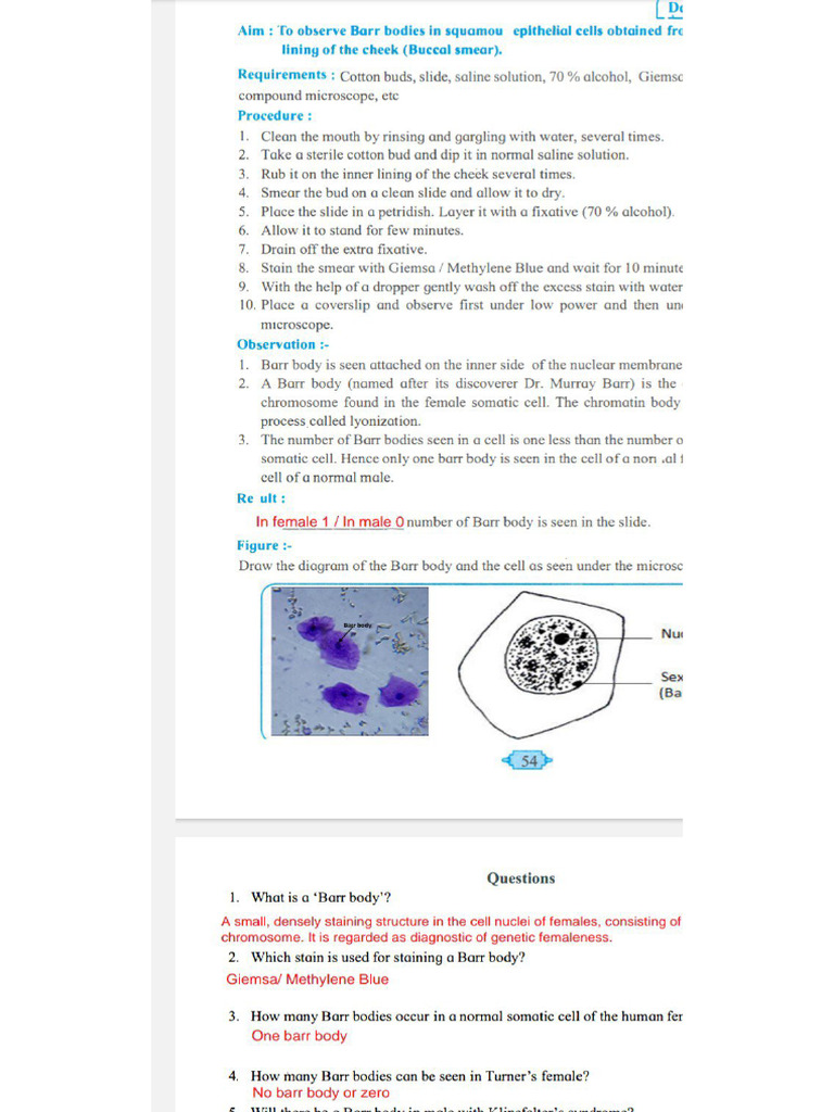 Image To PDF 20241212 08.01.14 | PDF