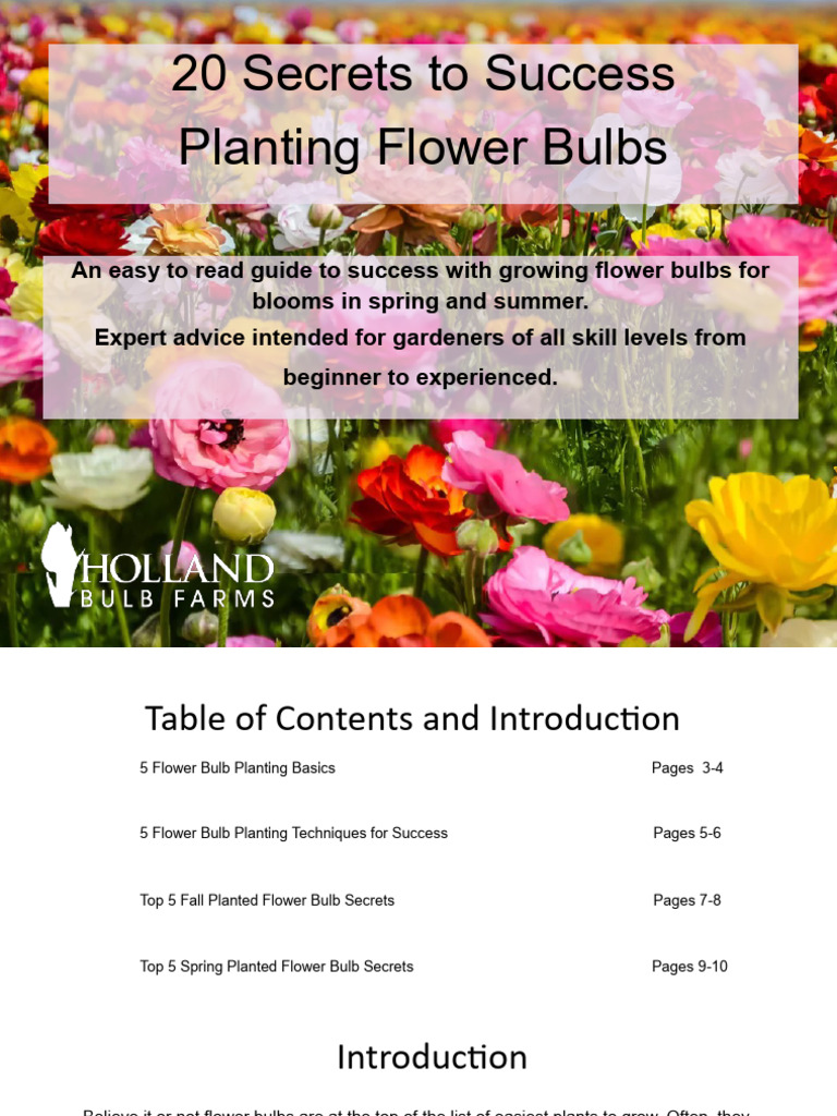 Flower Bulb Planting Success Guide | PDF | Bulb | Tulip