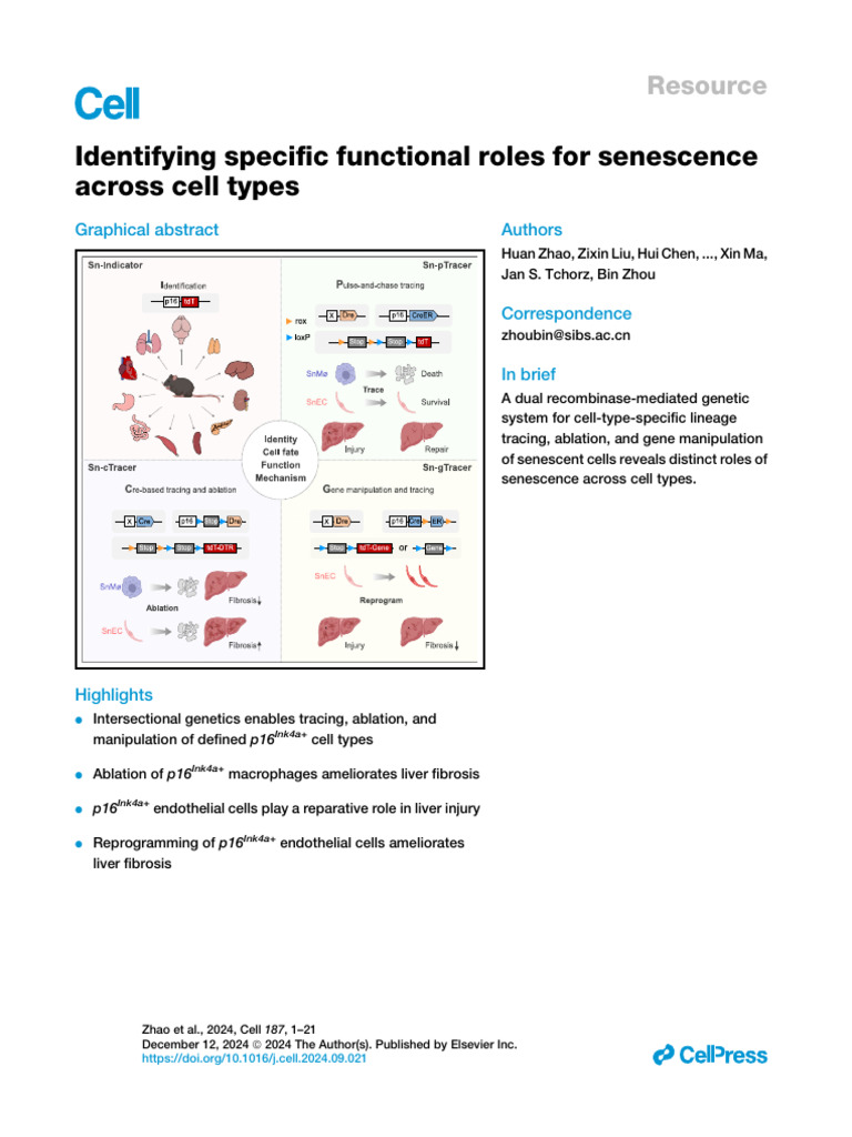 Identifying Specific Functional Roles For Senescence Across Cell Types ...