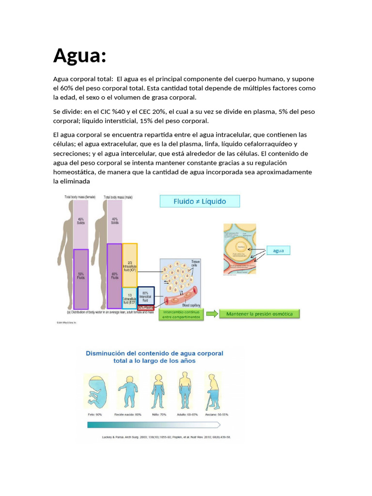Composición y Regulación del Agua Corporal | PDF | Mole (Unidad) | Sodio
