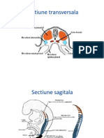 LP2 An Ii Sem I