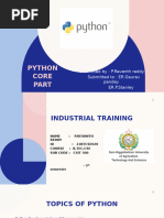 PDF Document