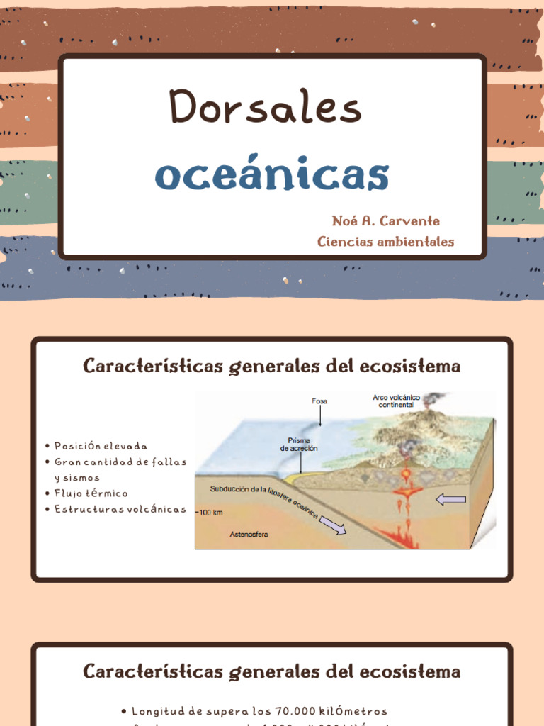 Descubre Las Dorsales Oceánicas: Formación, Ejemplos E Importancia – WATQVT