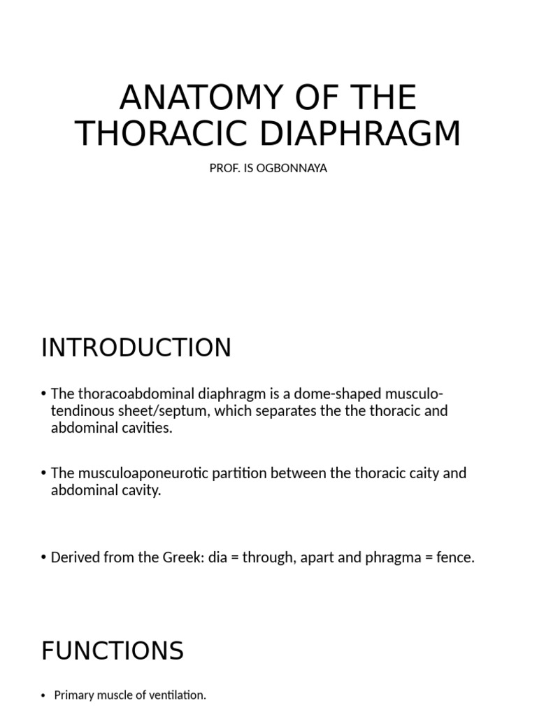 Anatomy of The Thoracic Diaphragm | PDF | Abdomen | Thorax (Human Anatomy)