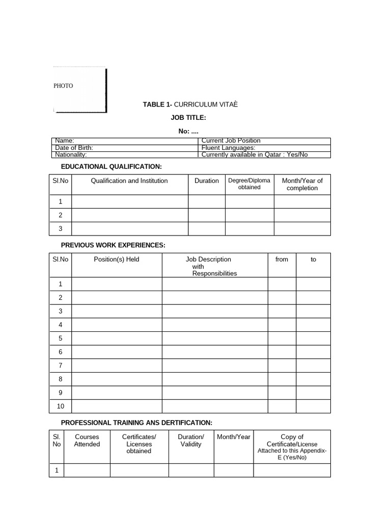 CV Template - To Be Filled | PDF