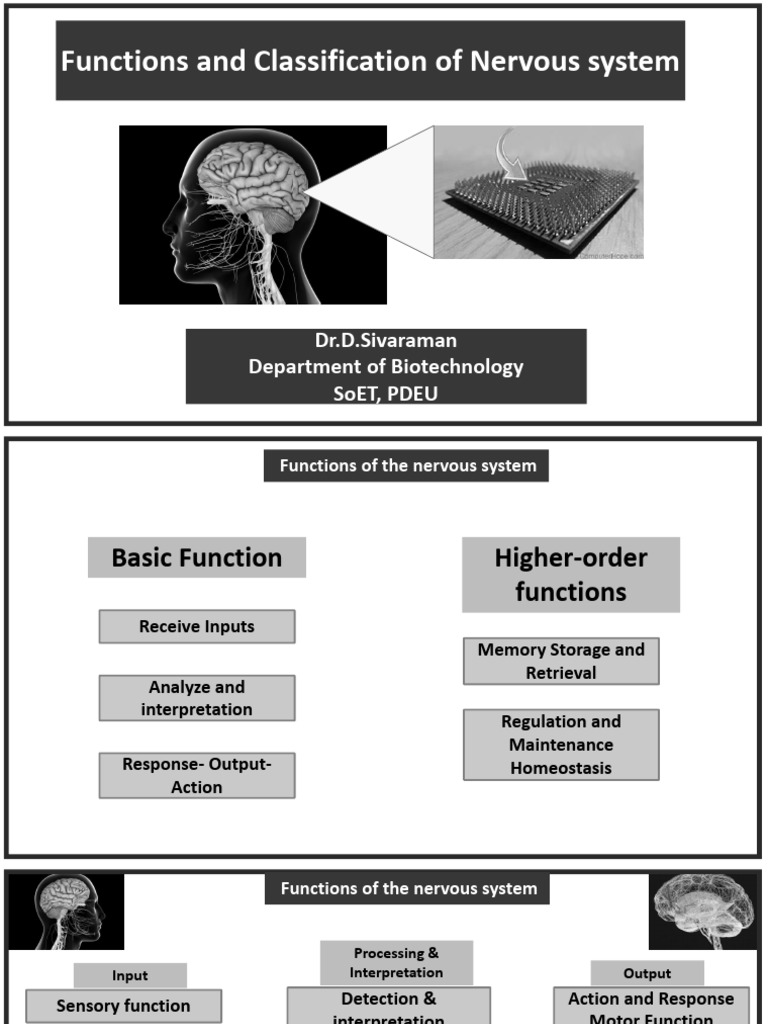 9.Brain as CPU_Eye as Camera | PDF | Camera | Artificial Neural Network