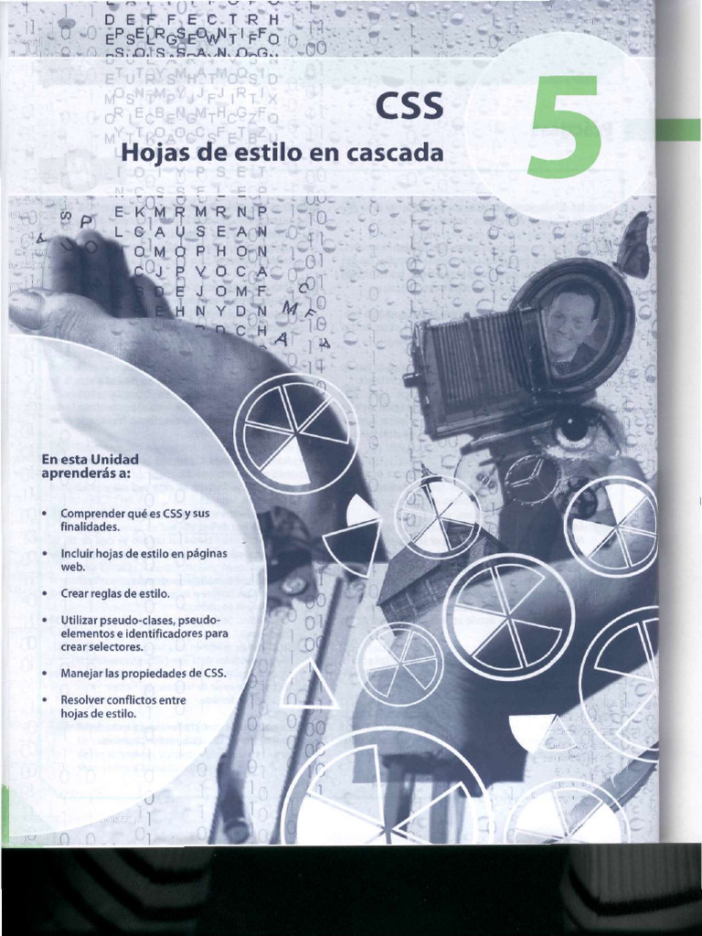 Tema 4 Css | PDF